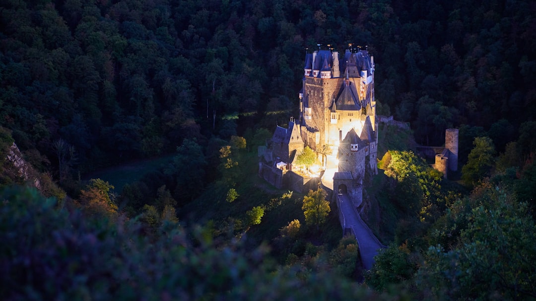 The Eltz castle in Germany surrounded by its forests.